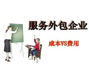 服務外包企業(yè) 企業(yè)服務領(lǐng)域的重要引擎與未來趨勢